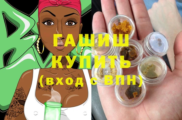 индика Киреевск