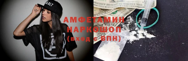 индика Киреевск