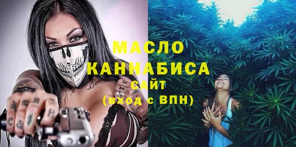 индика Киреевск