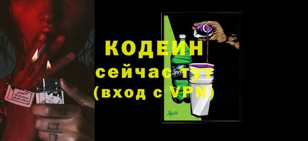 индика Киреевск
