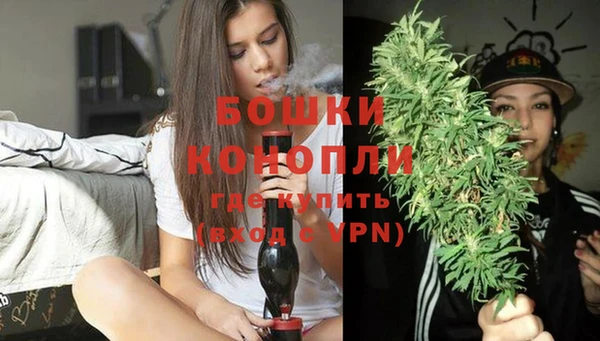 индика Киреевск