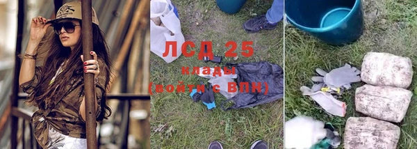 прущие грибы Киренск