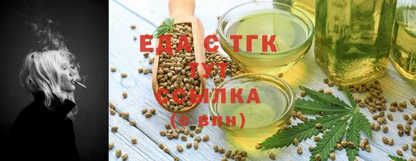 индика Киреевск