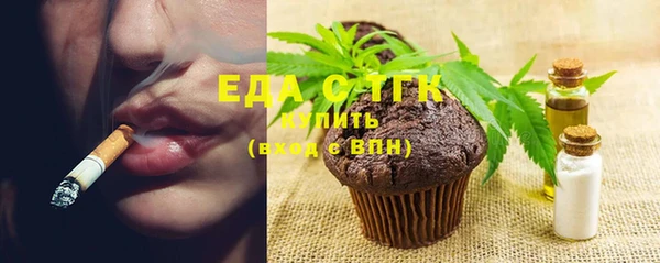 индика Киреевск
